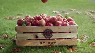 Polsat- Jesień 2016 Jingles