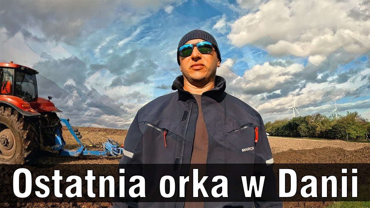 Ostatnia orka w Danii 🚜_VVVVVVVVo🏁