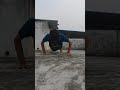 DAY 43 OF START DOING PUSH UPS.pushupchallenge#fitnessmotivation#homeworkout#bodyweighttraining