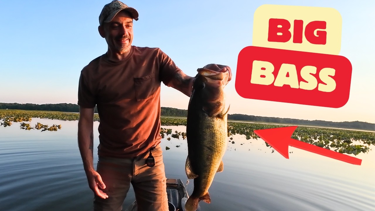 Big Bass Alert! The Bite Was On! Kayak Bass Fishing