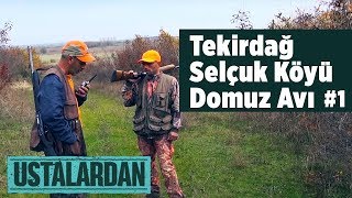 Tekirdağ Selçuk Köyü Domuz Avı S:2 B:1 Ustalardan  Yaban Tv -  Wildboar Hunting Turkey