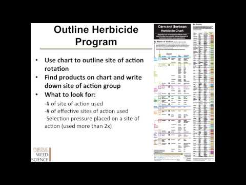 How to Effectively use the Corn and Soybean Herbicide Chart