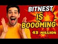 BitNest is Booming Like Fire! 🚀 | Passive Income On Auto-Pilot