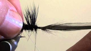 Meckejang Black Sedgehog.mp4