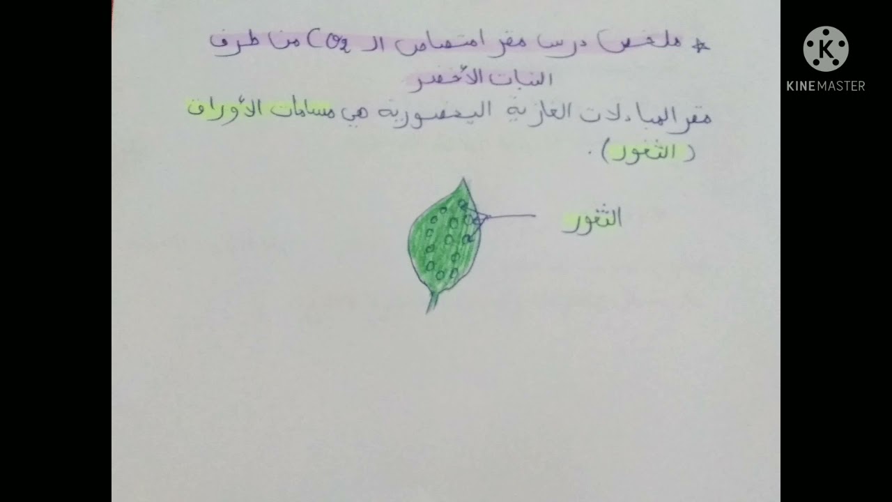 علوم السنة الاولى متوسط ملخص دروس ااجزء 2