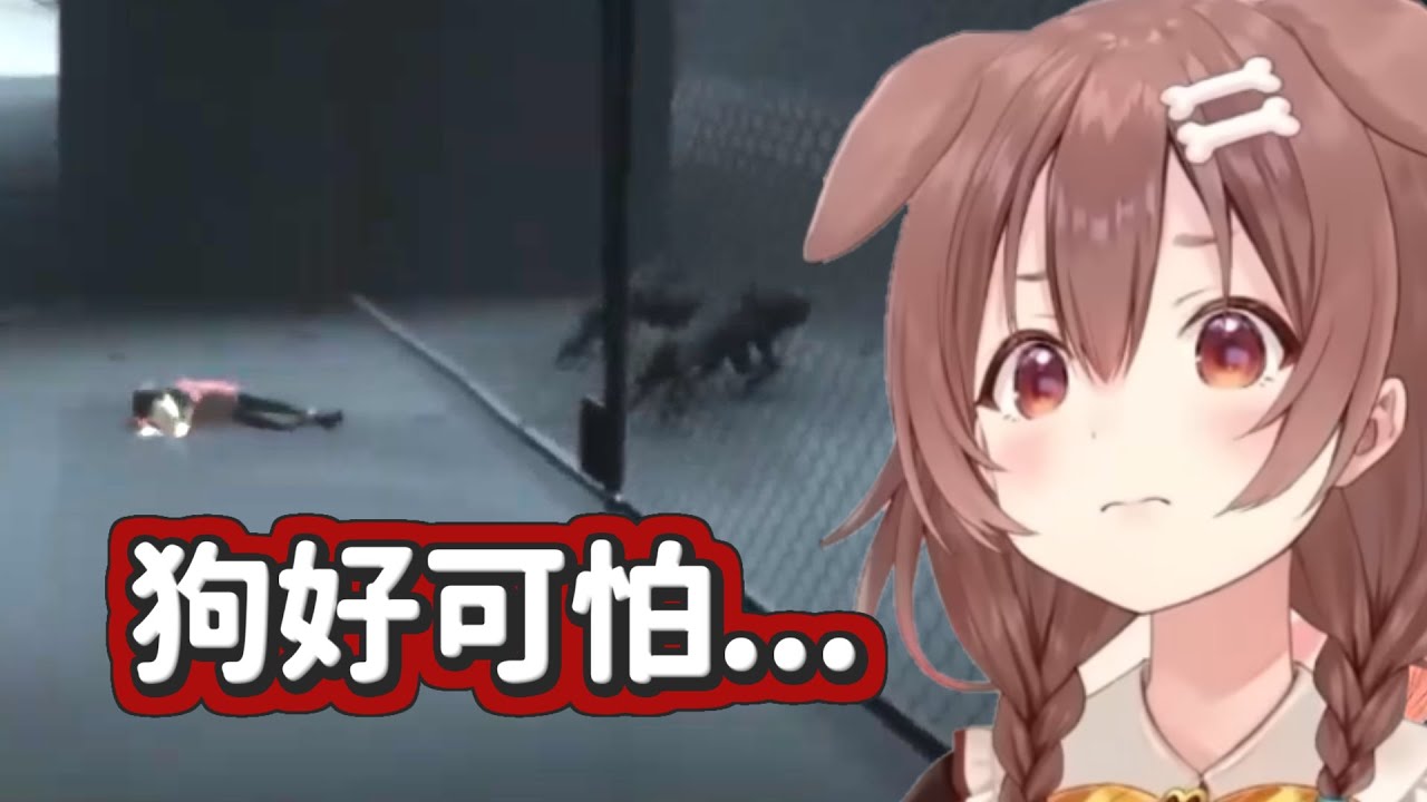 【戌神沁音】被一群狗嚇到覺得狗都很可怕的狗狗【Hololive中文】