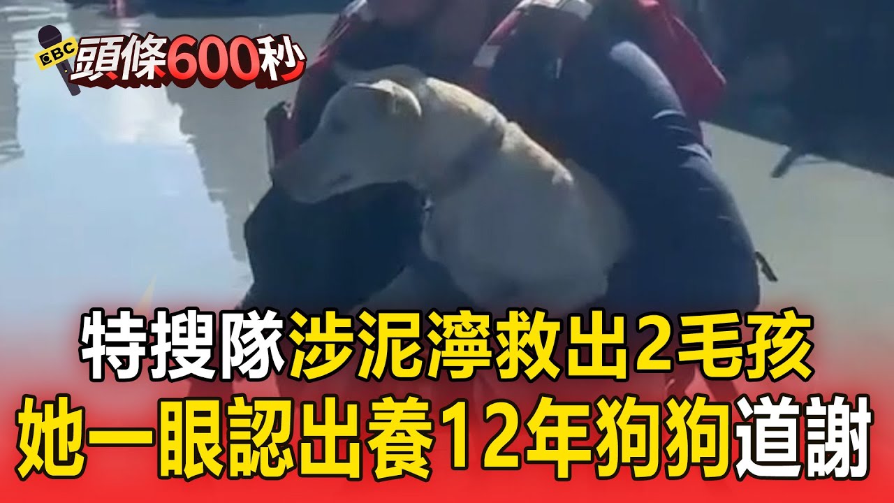 特搜隊涉泥濘救出2毛孩！她一眼認出養12年狗狗：謝謝你們
