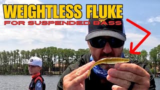 How to Catch Suspended Bass on a Weightless Fluke