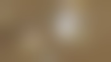 [neSro - PvPerz] - Fuck you Joe ;)