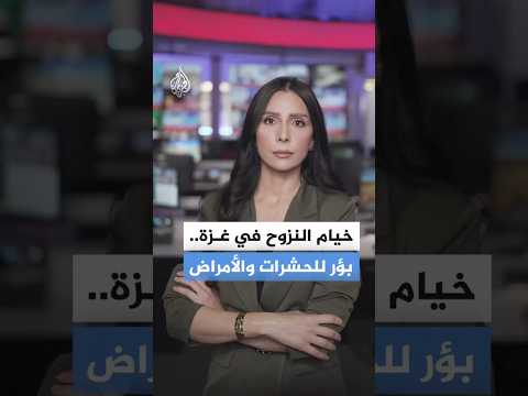 هل تتحول خيام النزوح بغزة إلى بؤر للحشرات والأمراض؟