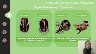 Final Year Project Presentation Image Classification of Aedes Mosquitoes Using Transfer Learning