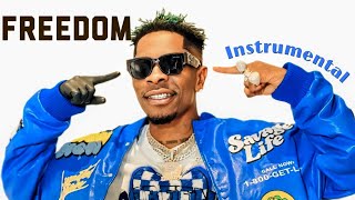 Sing🎙️ Along With This Shatta Wale - Freedom (Instrumental) 🔥🥵