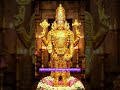 #సప్తగిరి శ్రీనివాస శ్రీవేంకటేశ్వరులు స్వామి కృపా కటాక్షం 🌺🌺🌺🌹#devotion #YouTube #creative #shorts