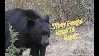 Scary Bear Attacks: Indian Jim's Hand To Hand Fight With A Bear