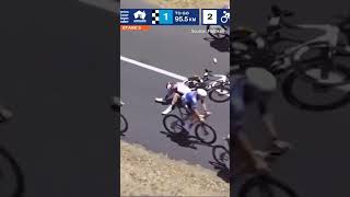 Caught on the hop: kangaroo tangles with cyclist Jay Vine