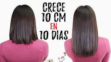 ¿Aumenta el aceite de oliva el crecimiento del cabello?