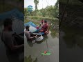 ভিয়েতনামি কৈ মাছের পোনা বিক্রয় প্রসেস 😊 vietnami koi fish #bdfish #fblifestyle #trend #shorts