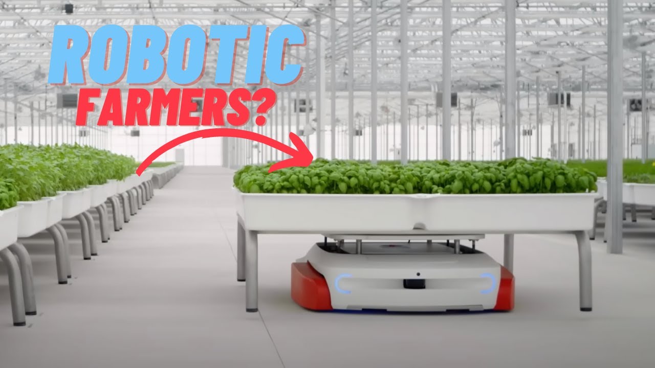 11 AMAZING FARMS YOU HAVEN'T SEEN BEFORE - YouTube