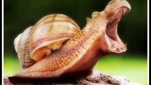 Designing a Custom Vinyl Record!