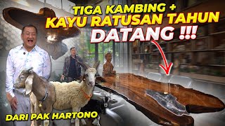 Download Lagu KAYU RATUSAN TAHUN BIKIN KANTOR DEHAKIM MAKIN MEGAH..!! MP3 Download Lagu KAYU RATUSAN TAHUN BIKIN KANTOR DEHAKIM MAKIN MEGAH..!! MP3