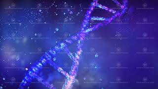 Animation of a collapsing DNA strand, close-up.