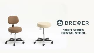 11001 Series Dental Stool