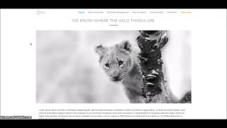 Celebrity 6 Divi Category Layouts Available in Divi Blog Extras Plugin Profile