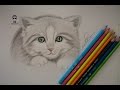 تعلم رسم قطة صغيرة بالرصاص للمبتدئين how to draw cat