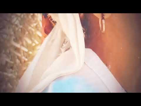 الشيخة RIMITI Remix