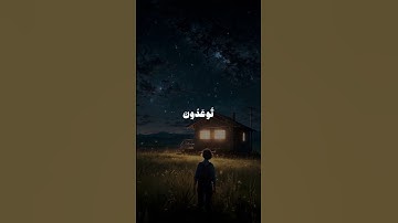 سورة فصلت | الآية 30-31 | للقارئ ناصر القطامي.