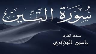 سورة التين - ياسين الجزائري Surah Al-Tin - Yassin Al-Jazaery