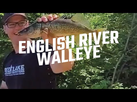 ENGLISH RIVER WALLEYE | EAR FALLS, ONTARIO