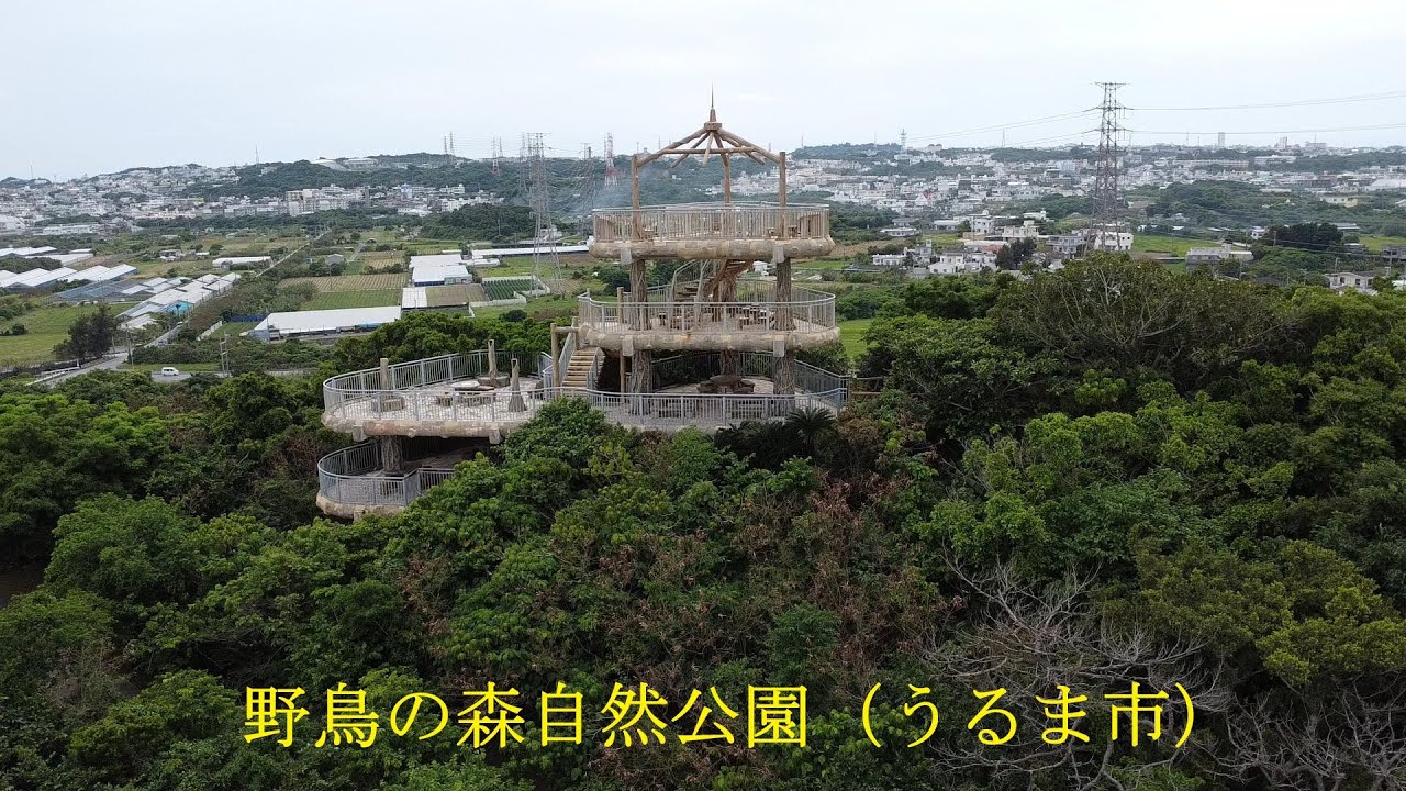 【沖縄観光】野鳥の森自然公園 904-2211 沖縄県うるま市宇堅１４４５
