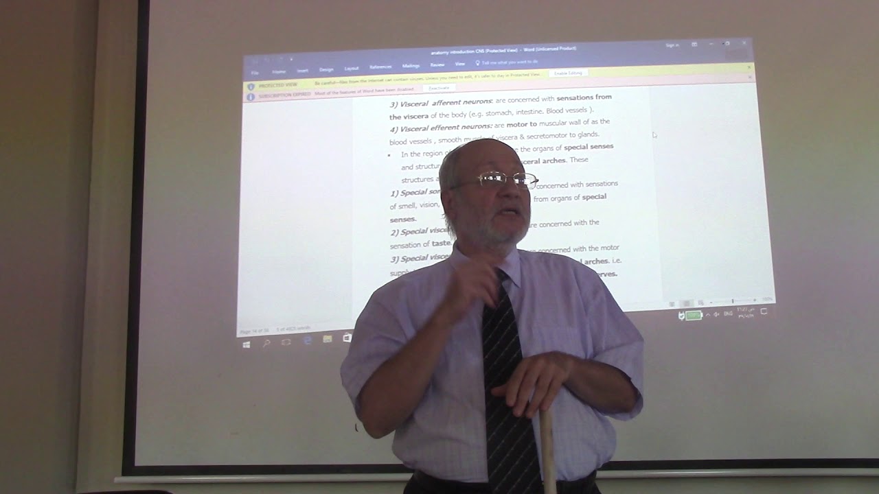 Neuroanatomy 5 ( Introduction , part 5 ) by, by Dr. Wahdan - YouTube