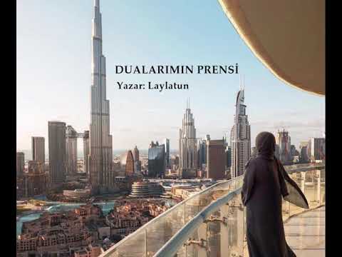 DUALARIMIN PRENSİ 2. BÖLÜM \u0026 SESLİ KİTAP