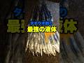 タチウオ釣りに最強の「液体」 #shorts #short #タチウオ #太刀魚 #えびかにみそペースト