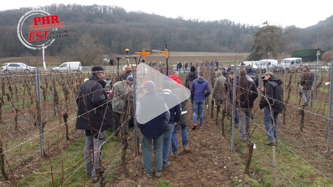 Un prototype de machine à tirer les sarments Provitis en démonstration
