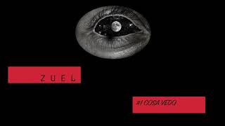 Zuel - Cosa Vedo