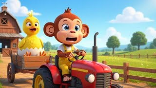 Monkey Farmer’s Crazy Idea Saves His Chickens – You’ll Laugh Hard!