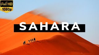 Sahara Desert Stock Footage | Free HD Video - no copyright