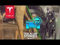 THIEVES CAUGHT ON TESLA SENTRY MODE | TESLACAM STORIES #32