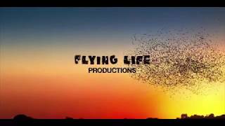 Flying Life Productionsvirago Productionsmythology Entphoenix Picturesskydance Tvnetflix 2020