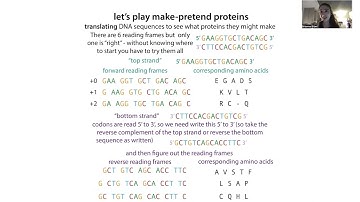 Nucleic acid sequence terminology (e.g., reverse complement), interconversion & sequence translation