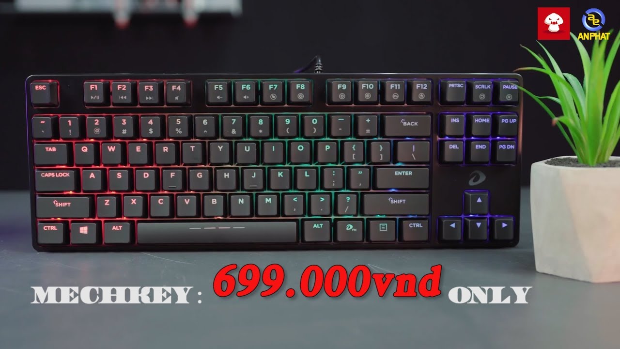 Bàn phím cơ led RGB DareU DK880 giá khuyến mại sock ???? | An Phat PC