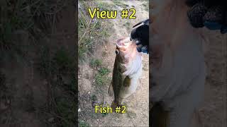 Big bass back to back