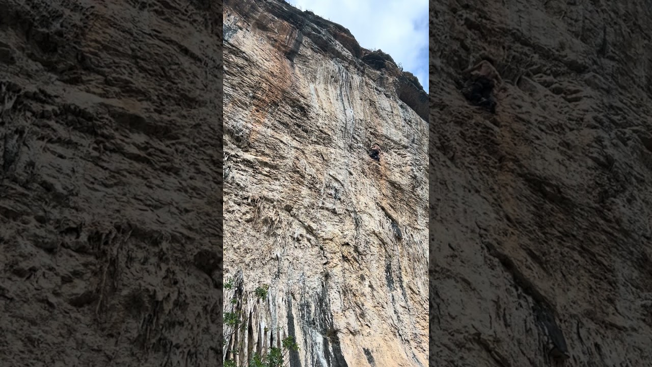 El Latido del Miedo 8a Terradets