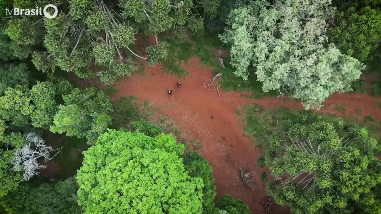 Olhar Brasil | Peabiru: O caminho ancestral de beleza e mistério