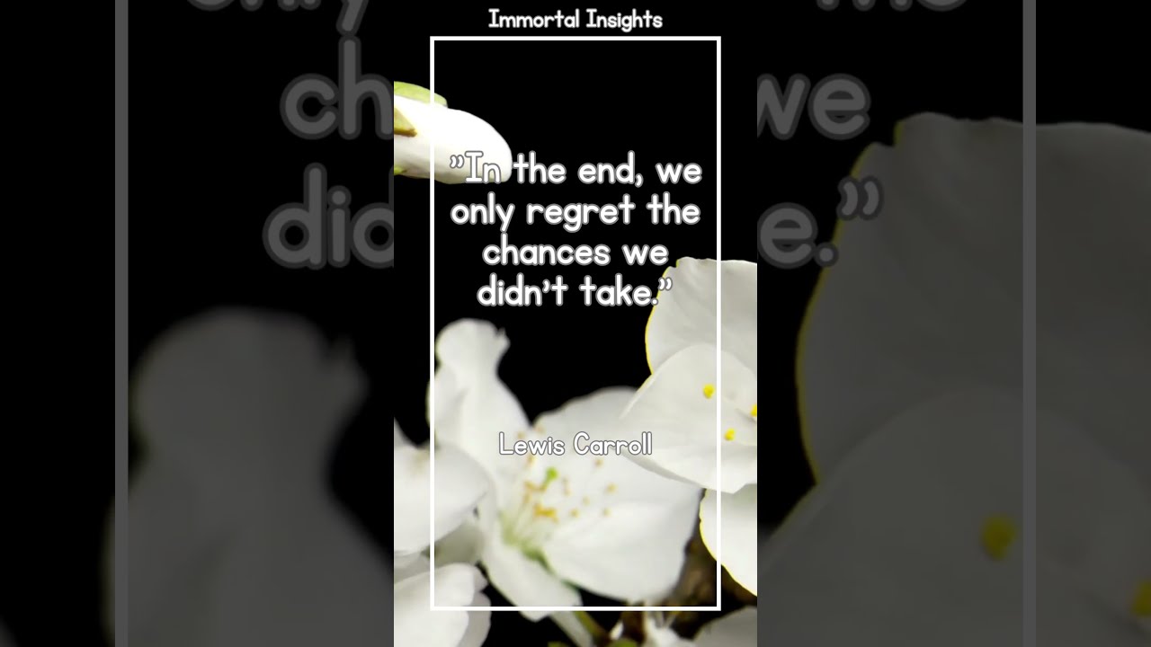In the end, we only regret the chances we didn't take - Lewis Carroll