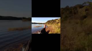 Pensa num povo animado pra pesca #pescaria #fishing #pesca #fishing