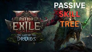 The Passive Skill Tree Explained for Beginners in 15 MINUTES | Path of Exile 2